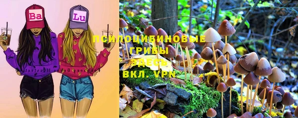 a pvp Богданович