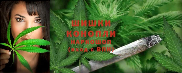a pvp Богданович