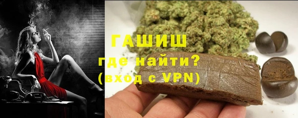 стаф Богородск